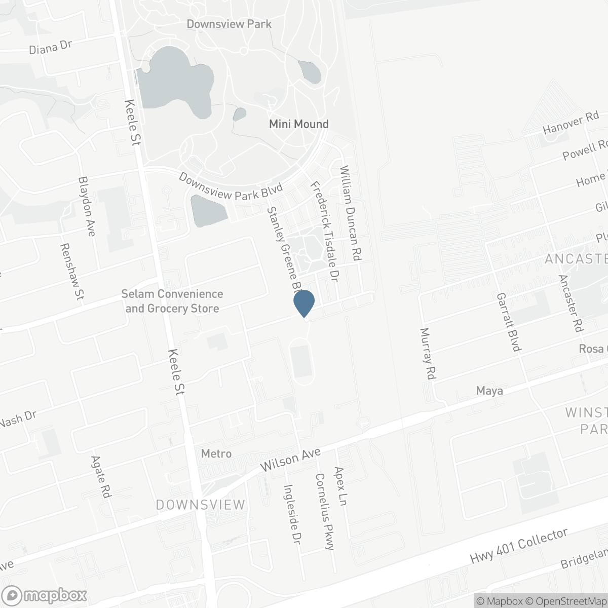 19 STANLEY GREENE BOULEVARD, Toronto, Ontario M3K 0B1